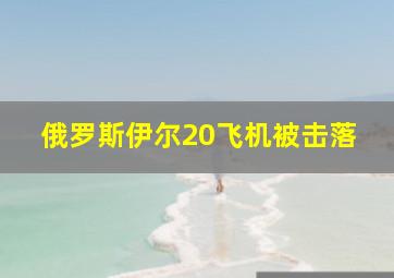 俄罗斯伊尔20飞机被击落