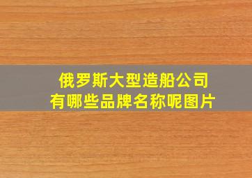 俄罗斯大型造船公司有哪些品牌名称呢图片