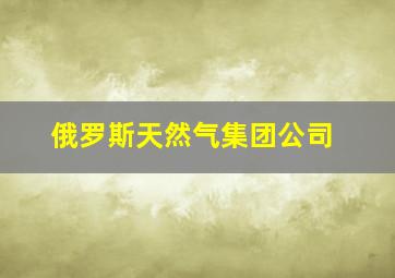 俄罗斯天然气集团公司