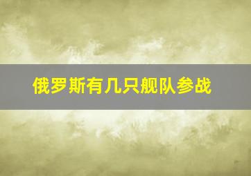 俄罗斯有几只舰队参战