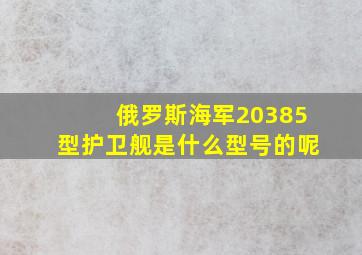 俄罗斯海军20385型护卫舰是什么型号的呢