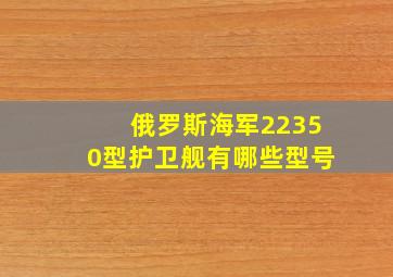 俄罗斯海军22350型护卫舰有哪些型号