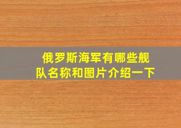 俄罗斯海军有哪些舰队名称和图片介绍一下