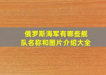 俄罗斯海军有哪些舰队名称和图片介绍大全