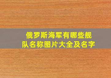 俄罗斯海军有哪些舰队名称图片大全及名字