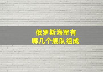 俄罗斯海军有哪几个舰队组成