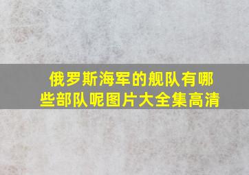 俄罗斯海军的舰队有哪些部队呢图片大全集高清