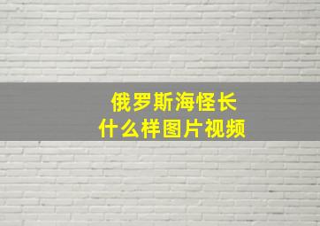 俄罗斯海怪长什么样图片视频