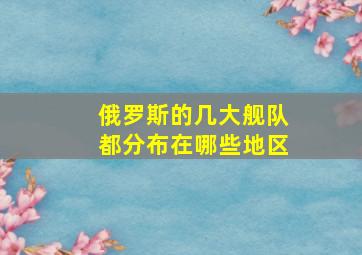 俄罗斯的几大舰队都分布在哪些地区