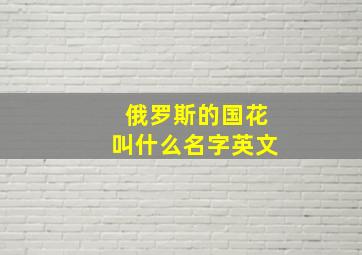 俄罗斯的国花叫什么名字英文