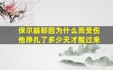 保尔脑部因为什么而受伤他挣扎了多少天才醒过来