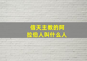 信天主教的阿拉伯人叫什么人