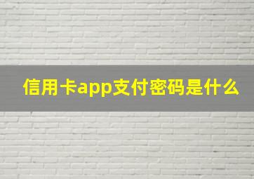 信用卡app支付密码是什么