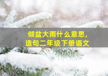 倾盆大雨什么意思,造句二年级下册语文