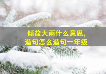 倾盆大雨什么意思,造句怎么造句一年级