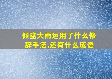 倾盆大雨运用了什么修辞手法,还有什么成语