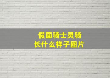 假面骑士灵骑长什么样子图片