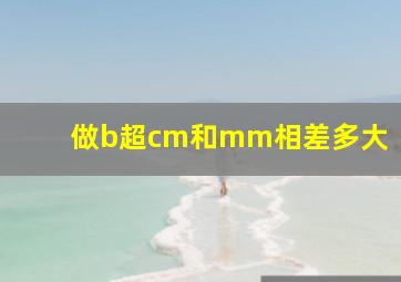 做b超cm和mm相差多大