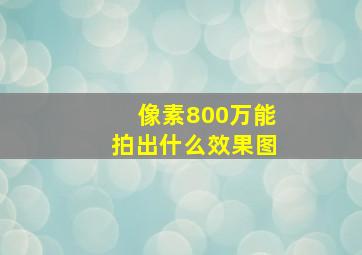 像素800万能拍出什么效果图