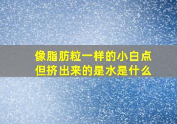 像脂肪粒一样的小白点但挤出来的是水是什么