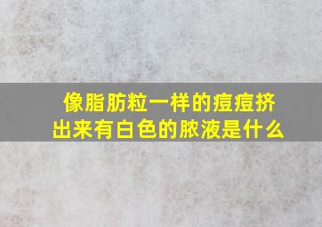 像脂肪粒一样的痘痘挤出来有白色的脓液是什么