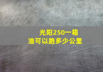 光阳250一箱油可以跑多少公里