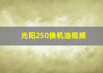 光阳250换机油视频