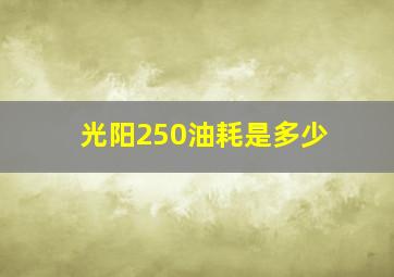 光阳250油耗是多少