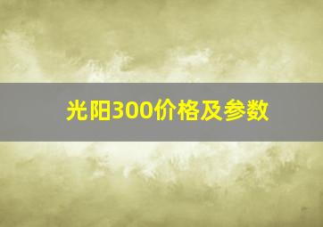 光阳300价格及参数