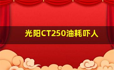 光阳CT250油耗吓人