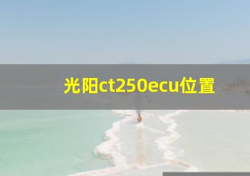 光阳ct250ecu位置