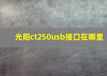 光阳ct250usb接口在哪里