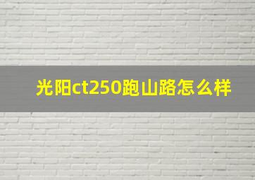 光阳ct250跑山路怎么样