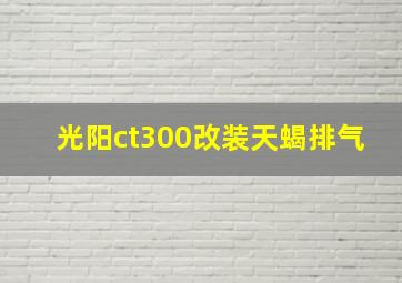 光阳ct300改装天蝎排气