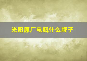 光阳原厂电瓶什么牌子