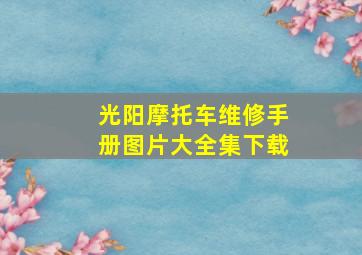 光阳摩托车维修手册图片大全集下载