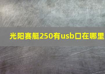 光阳赛艇250有usb口在哪里