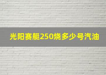 光阳赛艇250烧多少号汽油