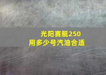 光阳赛艇250用多少号汽油合适