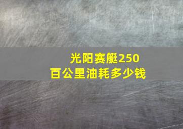 光阳赛艇250百公里油耗多少钱