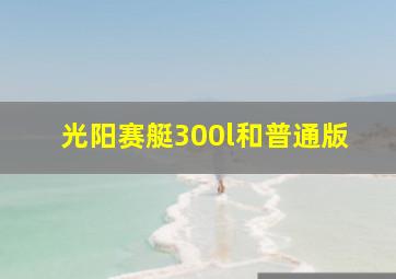 光阳赛艇300l和普通版