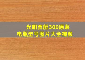 光阳赛艇300原装电瓶型号图片大全视频