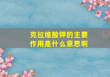 克拉维酸钾的主要作用是什么意思啊