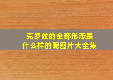 克罗兹的全部形态是什么样的呢图片大全集