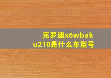 克罗迪x6wbaku210是什么车型号