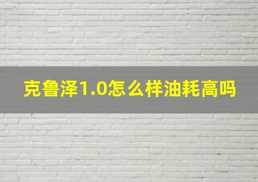 克鲁泽1.0怎么样油耗高吗