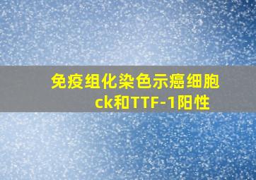 免疫组化染色示癌细胞ck和TTF-1阳性