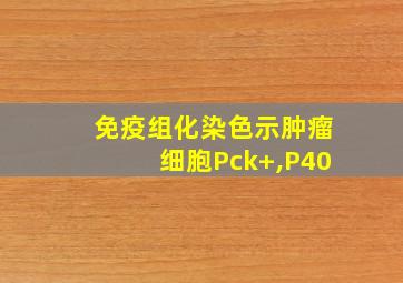 免疫组化染色示肿瘤细胞Pck+,P40