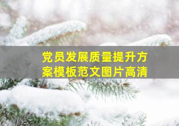 党员发展质量提升方案模板范文图片高清