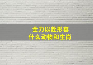 全力以赴形容什么动物和生肖